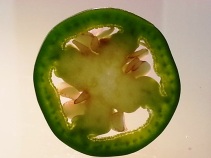 Samsung Galaxy S3 picture of Jalapeno slice.